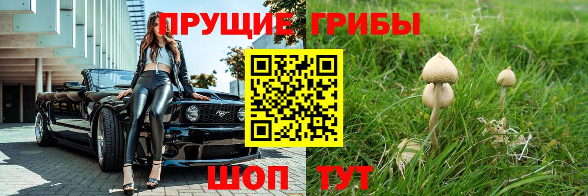 Галлюциногенные грибы мухоморы  Вход с VPN  Малгобек  Псилоцибиновые грибы Psilocybine cubensis 